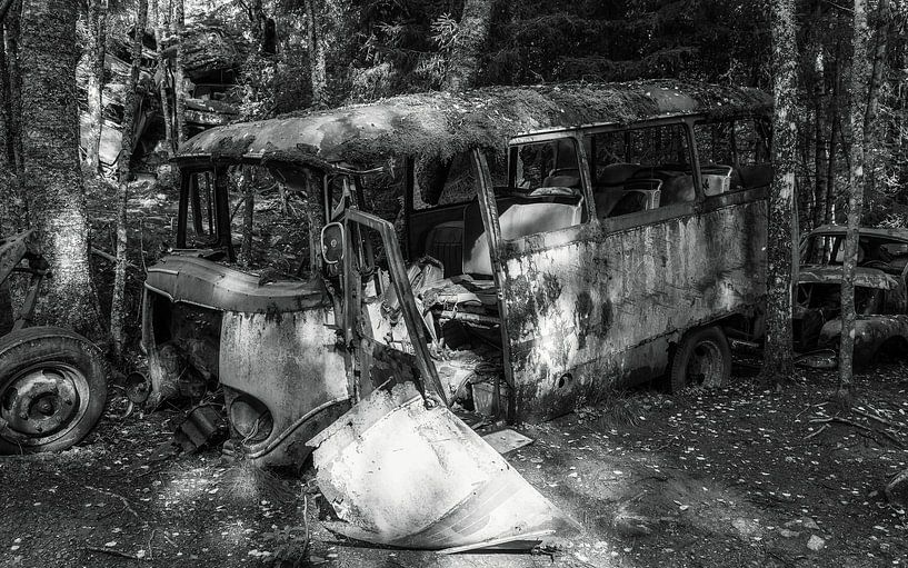 Verschrottete Autos von der Natur überwuchert von Mart Houtman