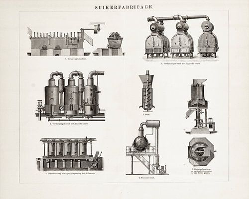Antiker Teller Zuckerherstellung