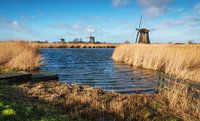 Die drei Mühlen von Schermerhorn. von Fotografie Egmond Miniaturansicht