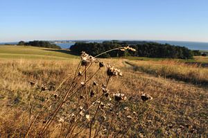 Groß Zicker, Blick zum Klein Zicker im Herbst