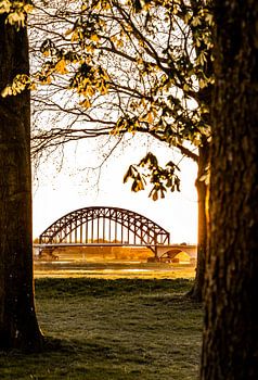 Sonnenuntergang an der IJsselbrücke in Zwolle, Niederlande