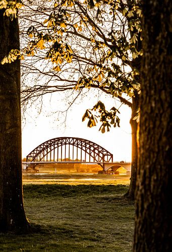 Sonnenuntergang an der IJsselbrücke in Zwolle, Niederlande