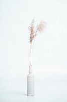 klare Vase mit Federn