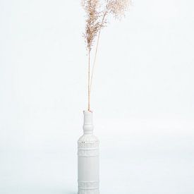 clear vase with feathers by Raoul van Meel