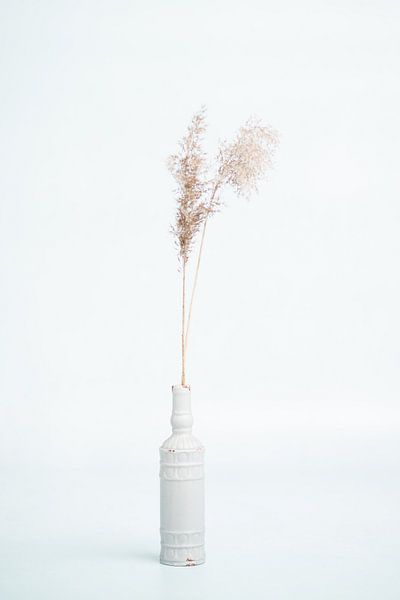 klare Vase mit Federn von Raoul van Meel