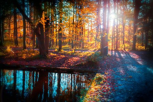 Abend im Herbst Park