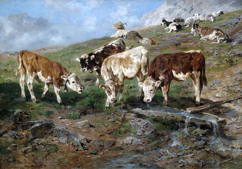 Anton Braith, young cattle on the Klausen pass, 1904 by Atelier Liesjes