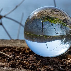 Bol fotografie meer van Rob Hansum