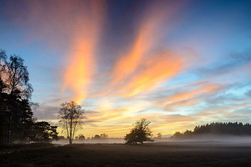 Winterse zonsondergang boven de heide op de Veluwe
