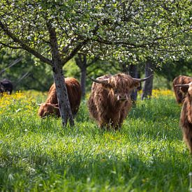 Le réveil du printemps sur Britta Kärcher