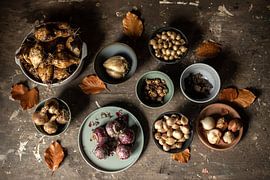 Waiting | a table full of spring bulbs | fine art still life color photography | print wall art by Nicole Colijn
