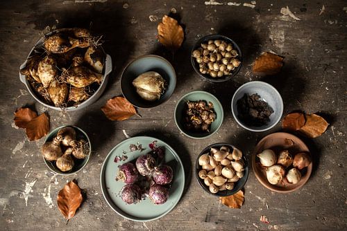 En attente | une table pleine de bulbes de fleurs de printemps | beaux-arts photographie couleur nat sur Nicole Colijn