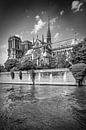 PARIS Kathedraal Notre-Dame Monochroom van Melanie Viola thumbnail