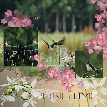 Frühling Collage von Carla van Zomeren