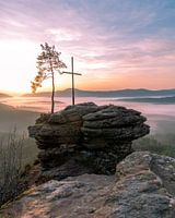 Light awakening at the Rötzenberg in the Palatinate Forest