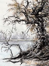 Breng me naar het water van Anita Snik-Broeken