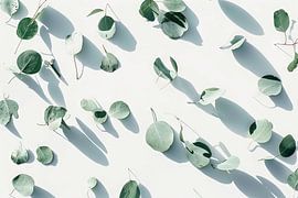 Eucalyptus von Poster Art Shop