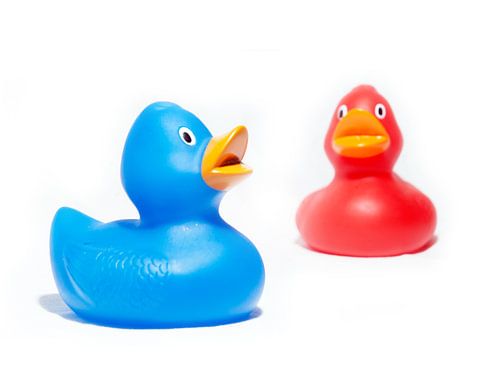 Two happy ducklings on the wall!