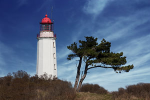 Dornbusch