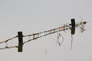 Clôture sur une plaine inondée, avec réflexion
