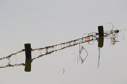 Fence on flooded floodplain, with reflection