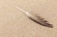 Spring on beach by Nancy van Verseveld thumbnail