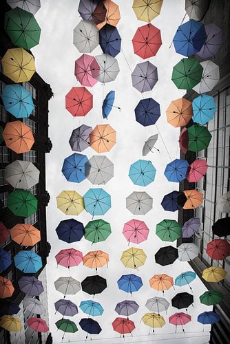 Spelende plu's in windvlaag