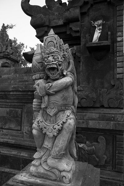 Image de Bali par Jan van Kemenade