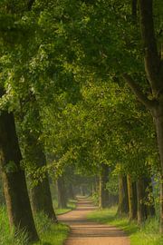 Rust van Miranda Rijnen Fotografie