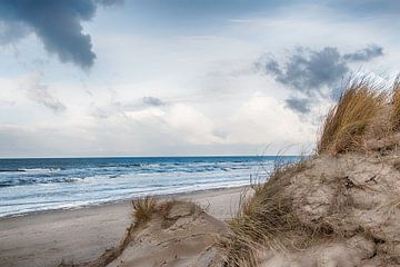 Dünen und Strand von Anita Mulder