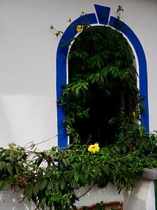 Fenster in Playa de Mogan auf Gran Canaria