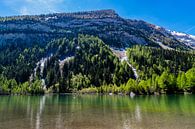 Lac de Derborence (2), Zwitserland van Ingrid Aanen thumbnail