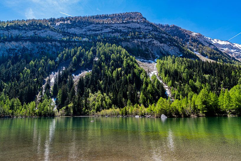 Lac de Derborence (2), Zwitserland van Ingrid Aanen