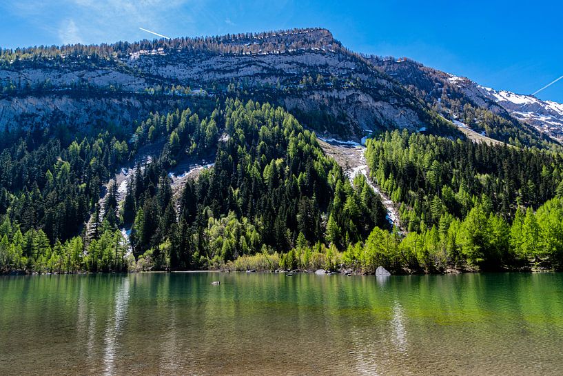 Lake Derborence by Ingrid Aanen