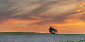 Farbenprächtiger Sonnenuntergang über dem Wattendeich bei Paesens von Harrie Muis