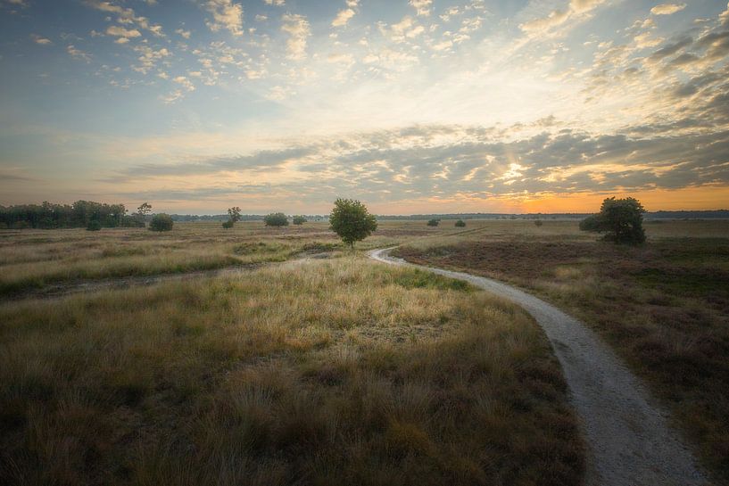 Engbertsdijkvenen  Natuur bij zonsopkomst van Freddy Hoevers