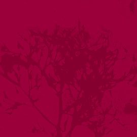 Abstract botanical art. Organic shapes in burgundy red. by Dina Dankers