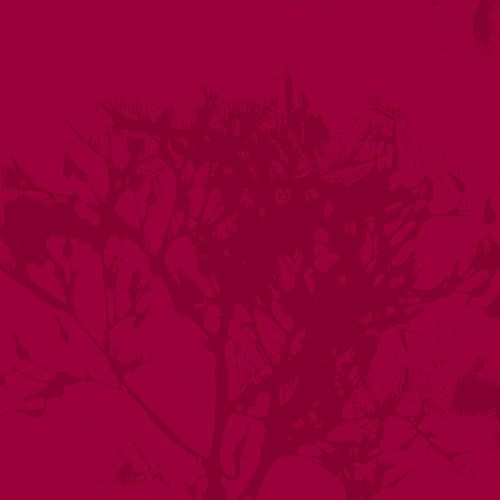 Art botanique abstrait. Formes organiques en rouge bordeaux.