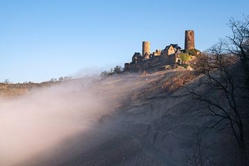 Kasteel van Thurnat, Moezel, Duitsland van Alexander Ludwig