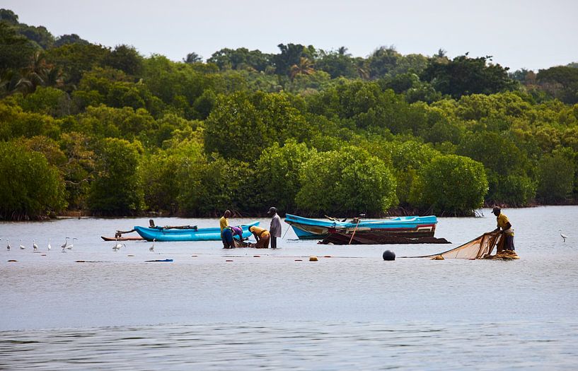 Pêcheurs au Sri Lanka par Dilani Butink