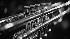 Muziekinstrument in zwart-wit van Gelissen Artworks