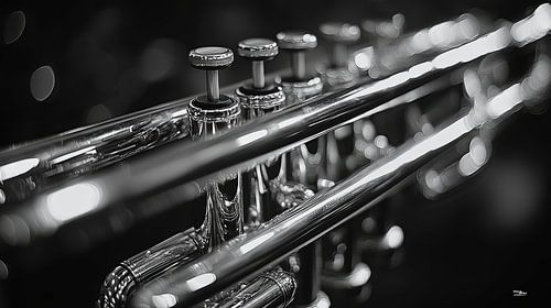 Musikinstrument in Schwarz und Weiß