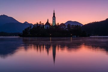Church of the Assumption by Denis Feiner