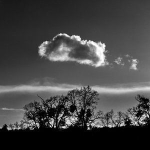 Wolkje in de lucht