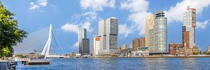 Impression panoramique de Rotterdam depuis les rives de la Nieuwe Maas