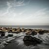 Ebbe-Strand Zeeland von Bianca Boogerd