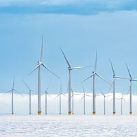 Offshore wind turbines in a wind park