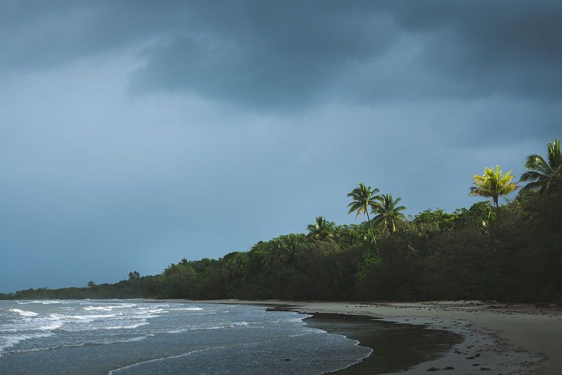Tropical oases: Beaches of the Daintree Rainforest by Ken Tempelers