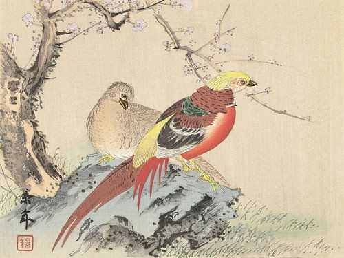 Imao Keinen - Pair of pheasants on rocks (1892-1911)