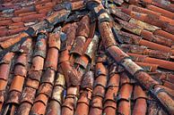 Old roof by Rob Walburg thumbnail